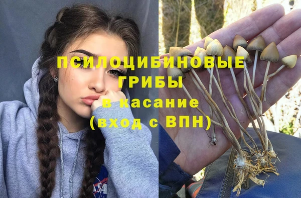 гидропоника Козельск