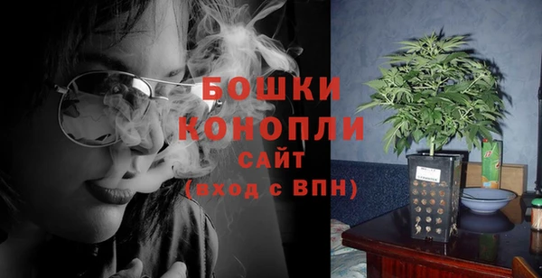 сатива Киренск